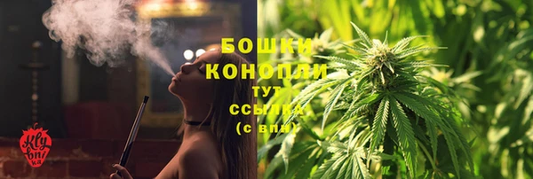 сатива Гусев