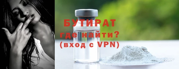 сатива Гусев