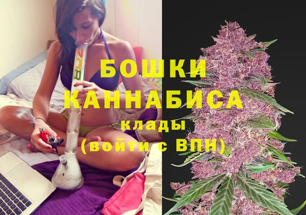 сатива Гусев