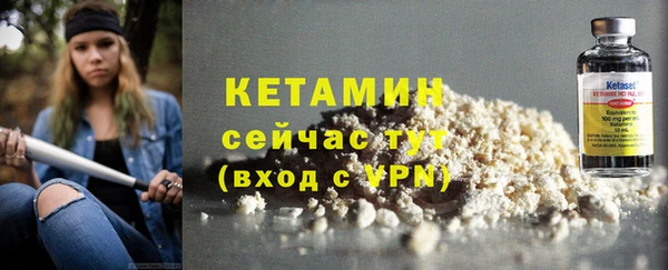 сатива Гусев