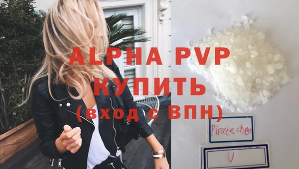 сатива Гусев