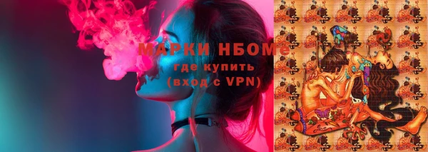сатива Гусев